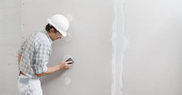 Best Drywall Removal and Disposal  in Maysville, GA